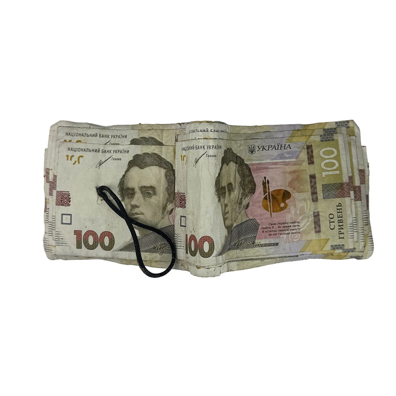 100 UAH Wallet V2
