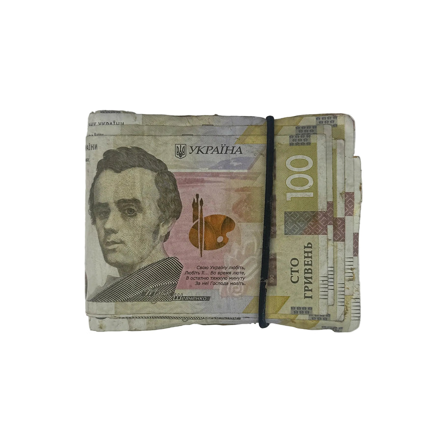 100 UAH Wallet V2