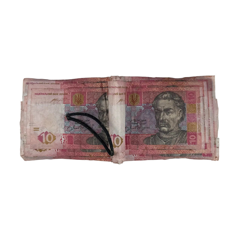10 UAH Wallet V2