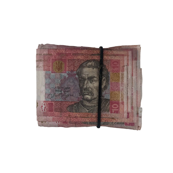 10 UAH Wallet V2
