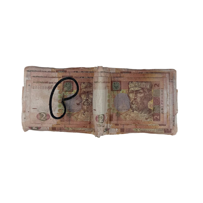 2 UAH Wallet V2